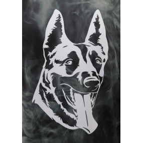 Polar z haftem  Malinois front