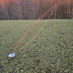 Flexi Pole Dogit