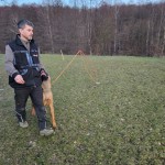 Flexi Pole Dogit